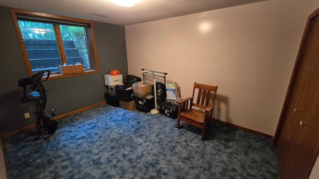 2145 Kenneth Dr, Albert Lea, MN 56007 - sitting room with a textured ceiling and carpet floors