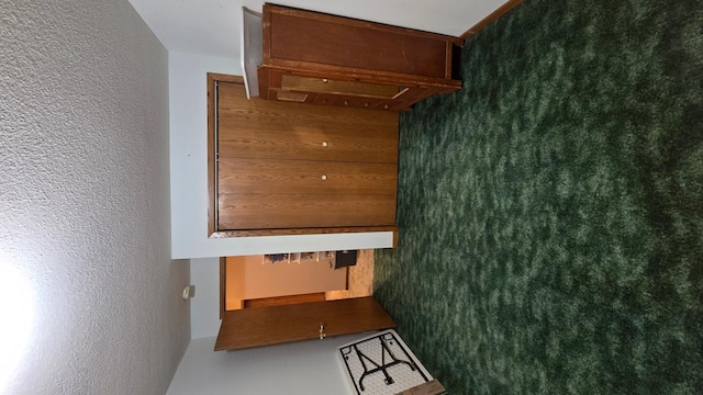 2145 Kenneth Dr, Albert Lea, MN 56007 - hallway with a textured wall