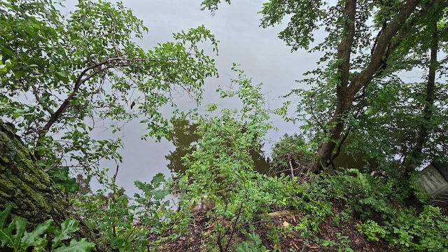 2145 Kenneth Dr, Albert Lea, MN 56007 - view of undeveloped land