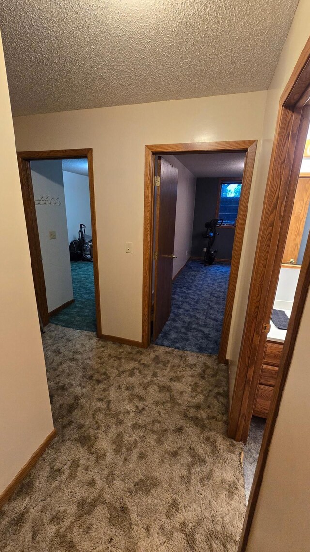 2145 Kenneth Dr, Albert Lea, MN 56007 - photo 43