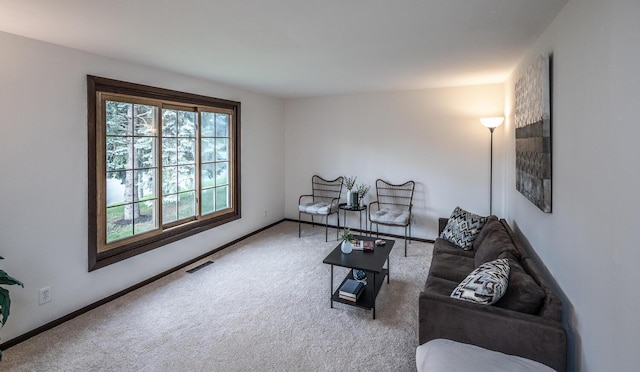 287 Frankland St, Mahtomedi, MN 55115 - photo 7