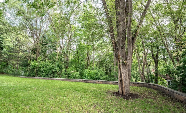 287 Frankland St, Mahtomedi, MN 55115 - photo 32