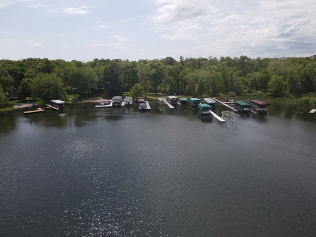 33638 Anderson Ct, Crosslake, MN 56442 - water view with a forest