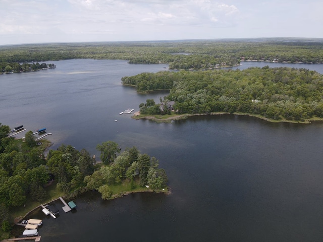 33638 Anderson Ct, Crosslake, MN 56442 - bird's eye view of a forest and a nearby body of water