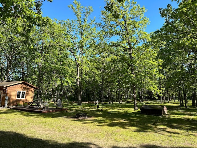 33638 Anderson Ct, Crosslake, MN 56442 - view of green lawn