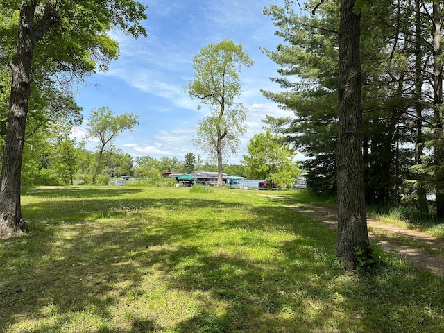 33638 Anderson Ct, Crosslake, MN 56442 - view of grassy yard