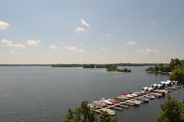 4387 Wilshire Blvd Unit 307, Mound, MN 55364 - water view with a boat dock