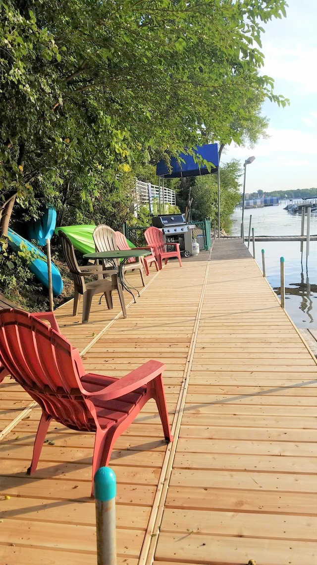 4387 Wilshire Blvd Unit 307, Mound, MN 55364 - dock area with a water view