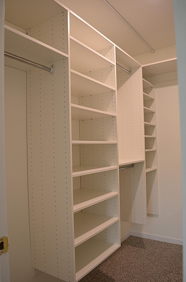 4387 Wilshire Blvd Unit 307, Mound, MN 55364 - walk in closet featuring carpet flooring
