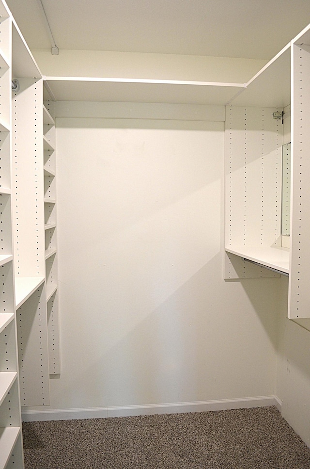 4387 Wilshire Blvd Unit 307, Mound, MN 55364 - walk in closet featuring carpet