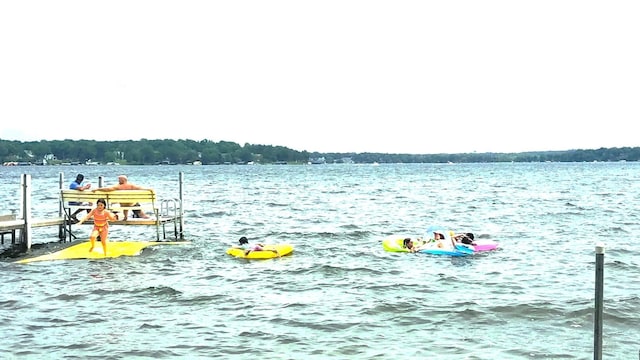 4387 Wilshire Blvd Unit 307, Mound, MN 55364 - dock with a water view