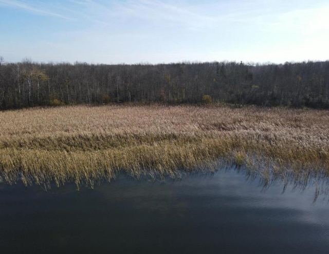 TBD 340th Ave, Hill Lake Twp, MN 55748