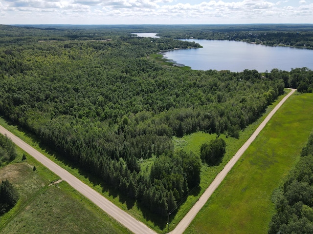TBD 340th Ave, Hill Lake Twp, MN 55748 - photo 1
