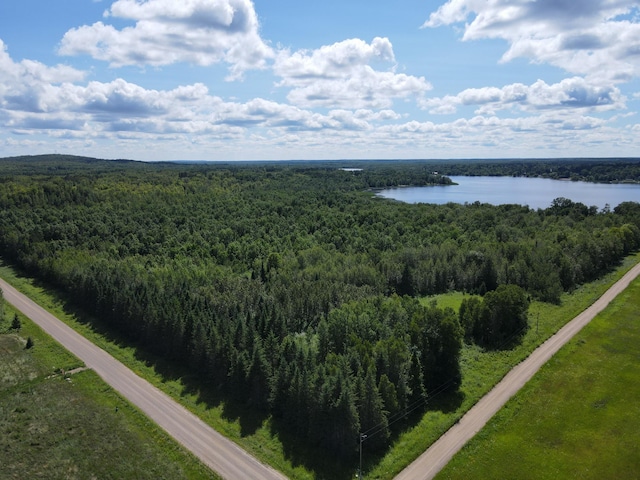 TBD 340th Ave, Hill Lake Twp, MN 55748 - photo 8