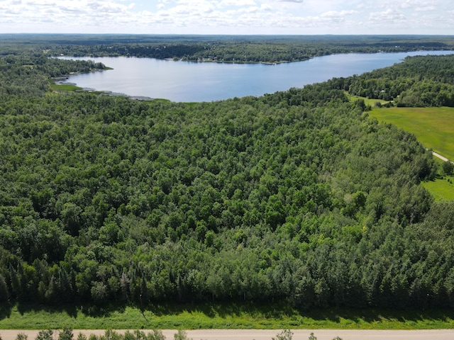 TBD 340th Ave, Hill Lake Twp, MN 55748 - photo 4
