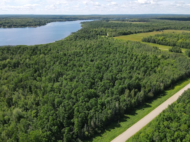 TBD 340th Ave, Hill Lake Twp, MN 55748 - photo 3