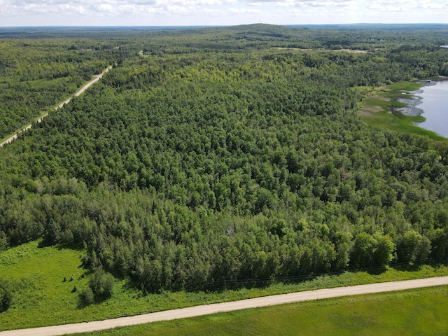 TBD 340th Ave, Hill Lake Twp, MN 55748 - photo 13