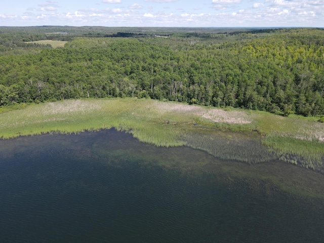 TBD 340th Ave, Hill Lake Twp, MN 55748 - photo 2