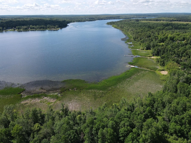 TBD 340th Ave, Hill Lake Twp, MN 55748 - photo 6