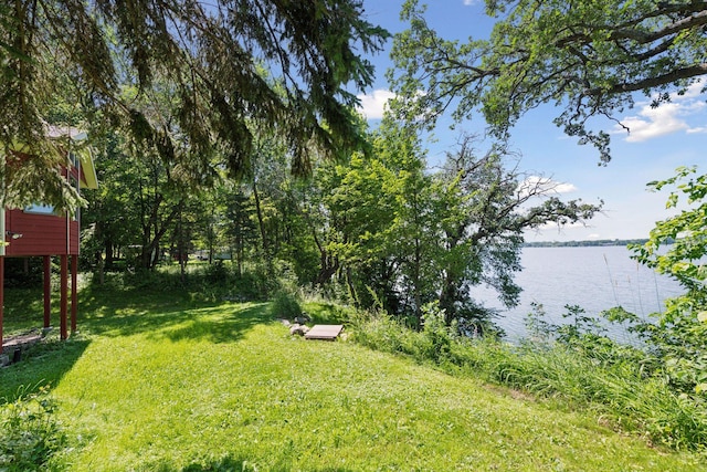 8847 47th St SW, Middleville Twp, MN 55349 - photo 11