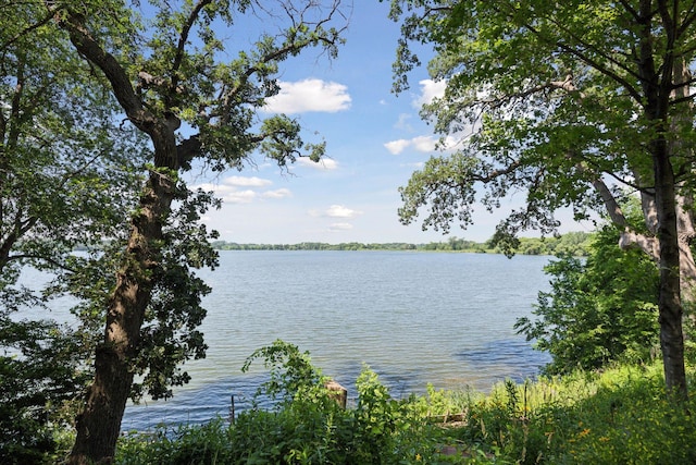 8847 47th St SW, Middleville Twp, MN 55349 - photo 9