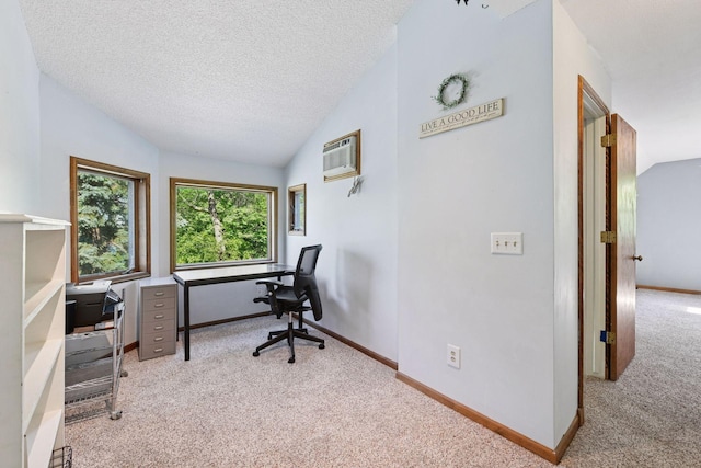 8847 47th St SW, Middleville Twp, MN 55349 - photo 40