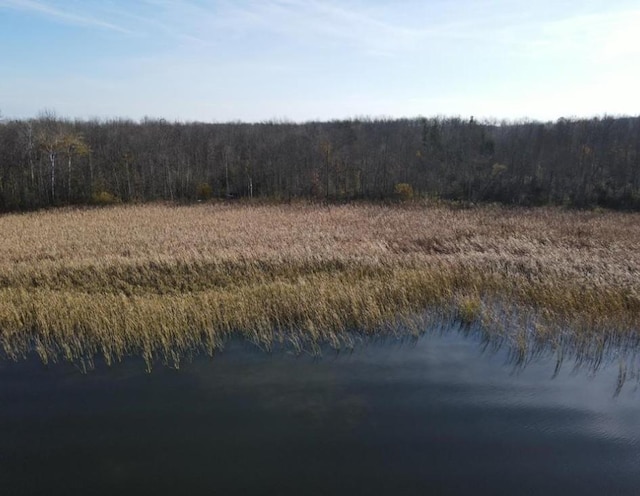 TBD 672nd Lane, Hill Lake Twp, MN 55748