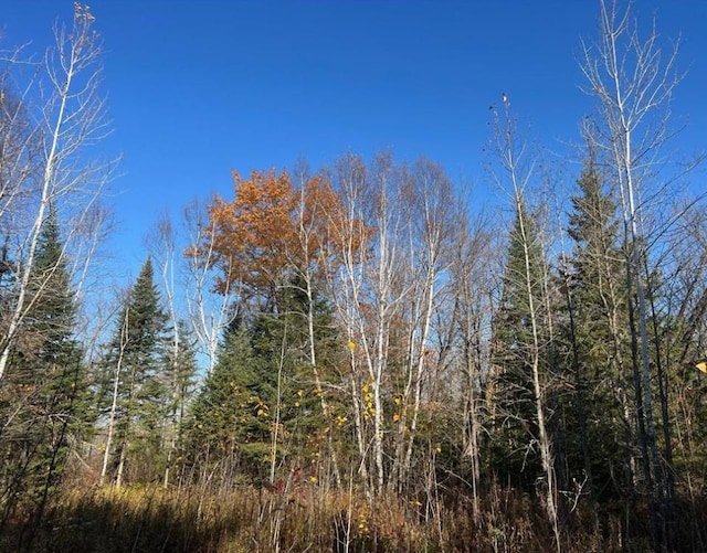 TBD 672nd Lane, Hill Lake Twp, MN 55748