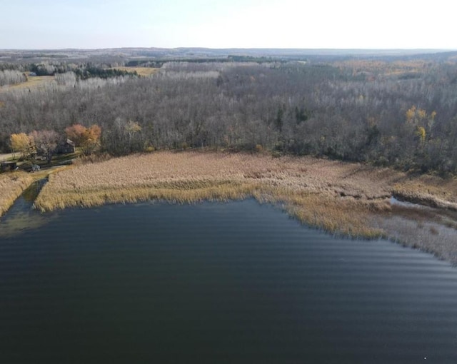 TBD 672nd Lane, Hill Lake Twp, MN 55748