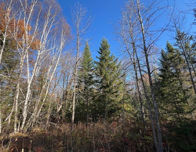 TBD 672nd Lane, Hill Lake Twp, MN 55748