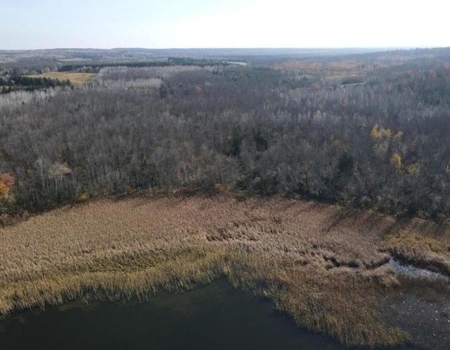 TBD 672nd Lane, Hill Lake Twp, MN 55748