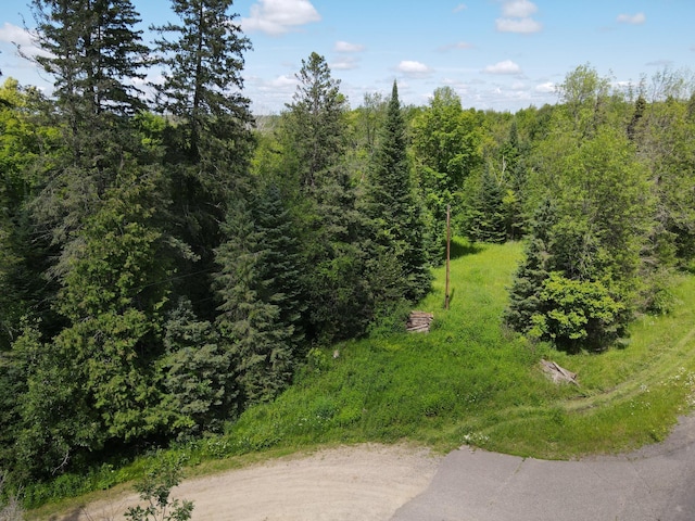 TBD 672nd Lane, Hill Lake Twp, MN 55748 - photo 2