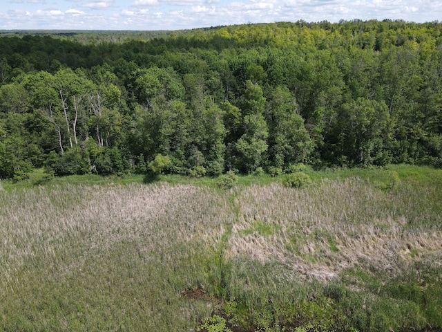 TBD 672nd Lane, Hill Lake Twp, MN 55748 - photo 10
