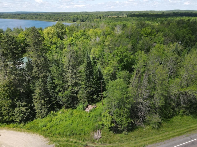 TBD 672nd Lane, Hill Lake Twp, MN 55748 - photo 8
