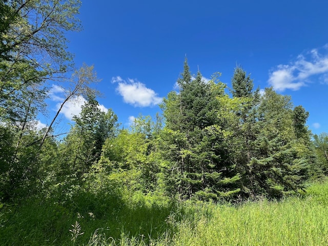 TBD 672nd Lane, Hill Lake Twp, MN 55748 - photo 20