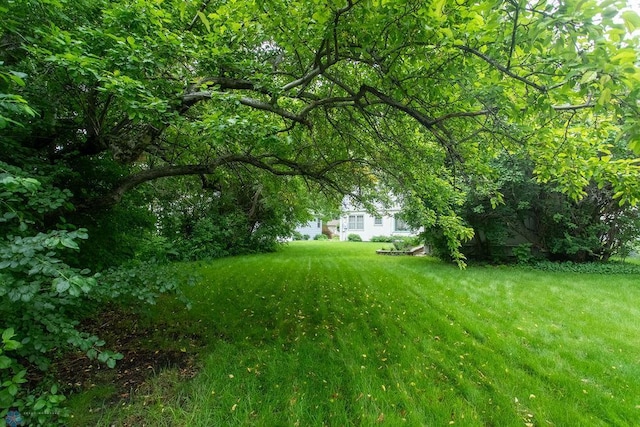 1245 1st St N, Fargo, ND 58102 - view of grassy yard