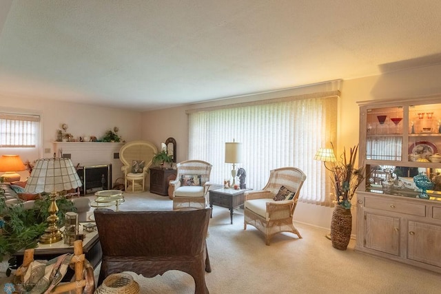 1245 1st St N, Fargo, ND 58102 - living area featuring light carpet
