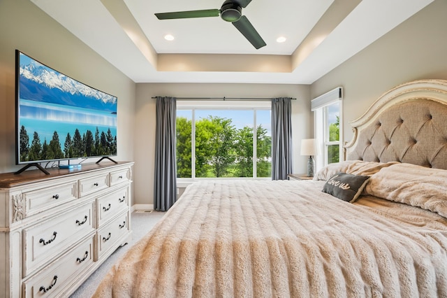 1623 Otter Way, New Richmond, WI 54017 - bedroom with a tray ceiling, a ceiling fan, and light carpet