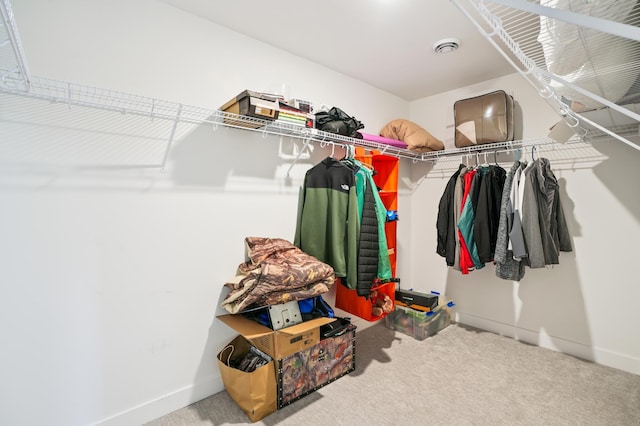 1623 Otter Way, New Richmond, WI 54017 - spacious closet with carpet