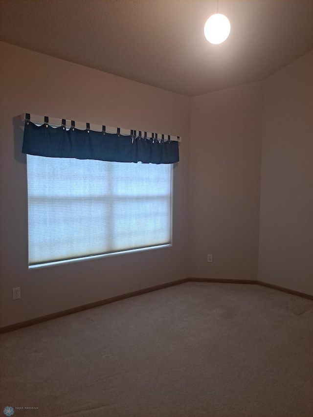 5409 University Dr S Unit D, Fargo, ND 58104 - carpeted empty room with baseboards
