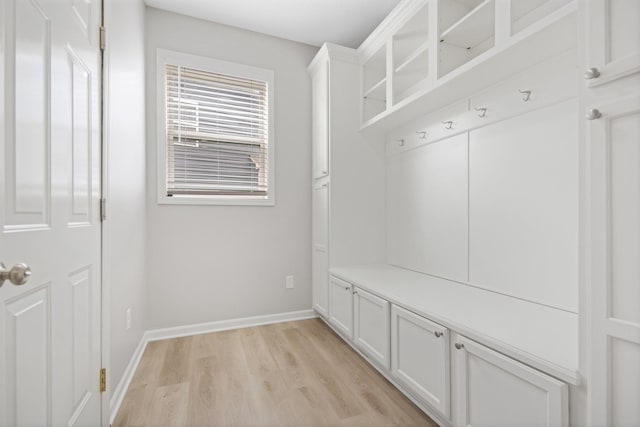 6758 Troy Ln N, Maple Grove, MN 55311 - mudroom with light wood-type flooring and baseboards