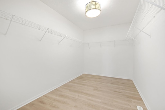 6758 Troy Ln N, Maple Grove, MN 55311 - spacious closet featuring light wood-type flooring