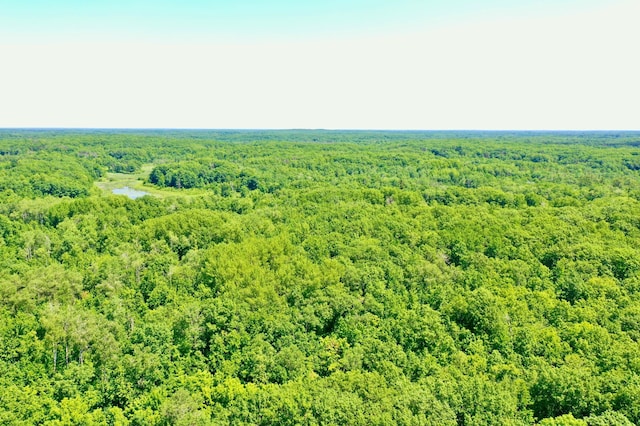 43564 Tamarack River Rd, Ogema Twp, MN 55037 - aerial view of a heavily wooded area and a nearby body of water