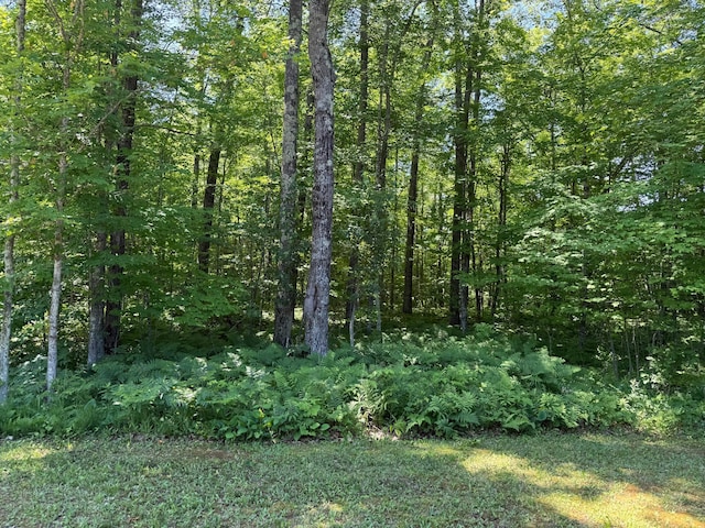 43564 Tamarack River Rd, Ogema Twp, MN 55037 - view of tree filled area