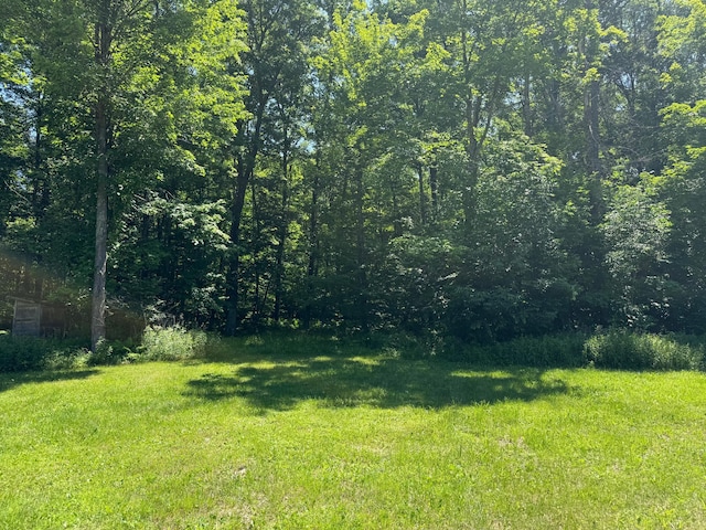 43564 Tamarack River Rd, Ogema Twp, MN 55037 - view of green lawn