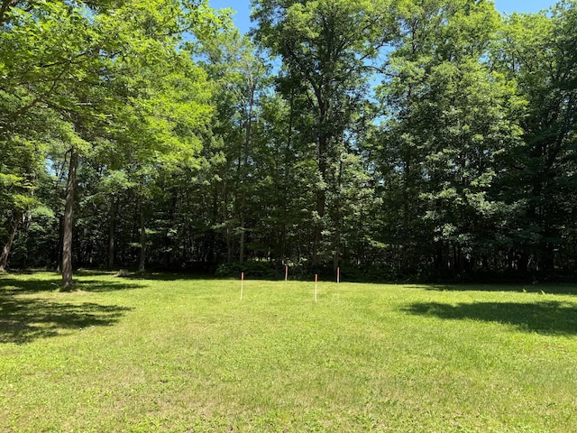 43564 Tamarack River Rd, Ogema Twp, MN 55037 - view of grassy yard featuring a wooded view