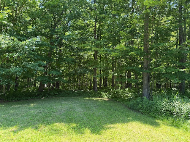 43564 Tamarack River Rd, Ogema Twp, MN 55037 - view of grassy yard featuring a forest view