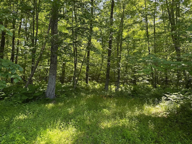 43564 Tamarack River Rd, Ogema Twp, MN 55037 - view of woods