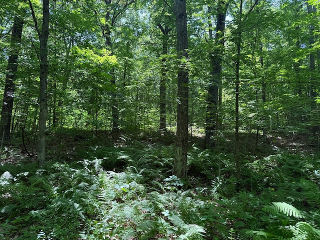 43564 Tamarack River Rd, Ogema Twp, MN 55037 - view of wooded area
