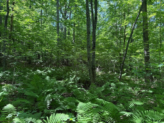 43564 Tamarack River Rd, Ogema Twp, MN 55037 - view of woods
